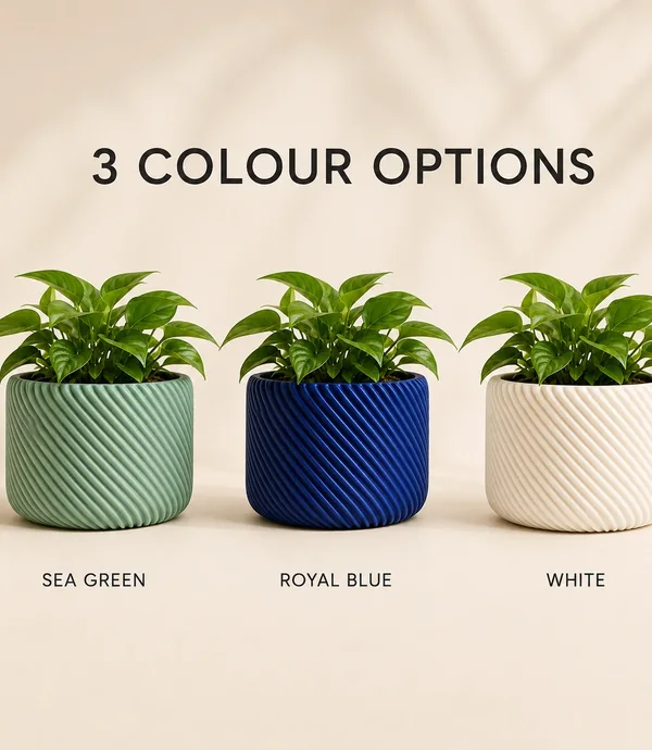 Twirlroot compact spiral planter