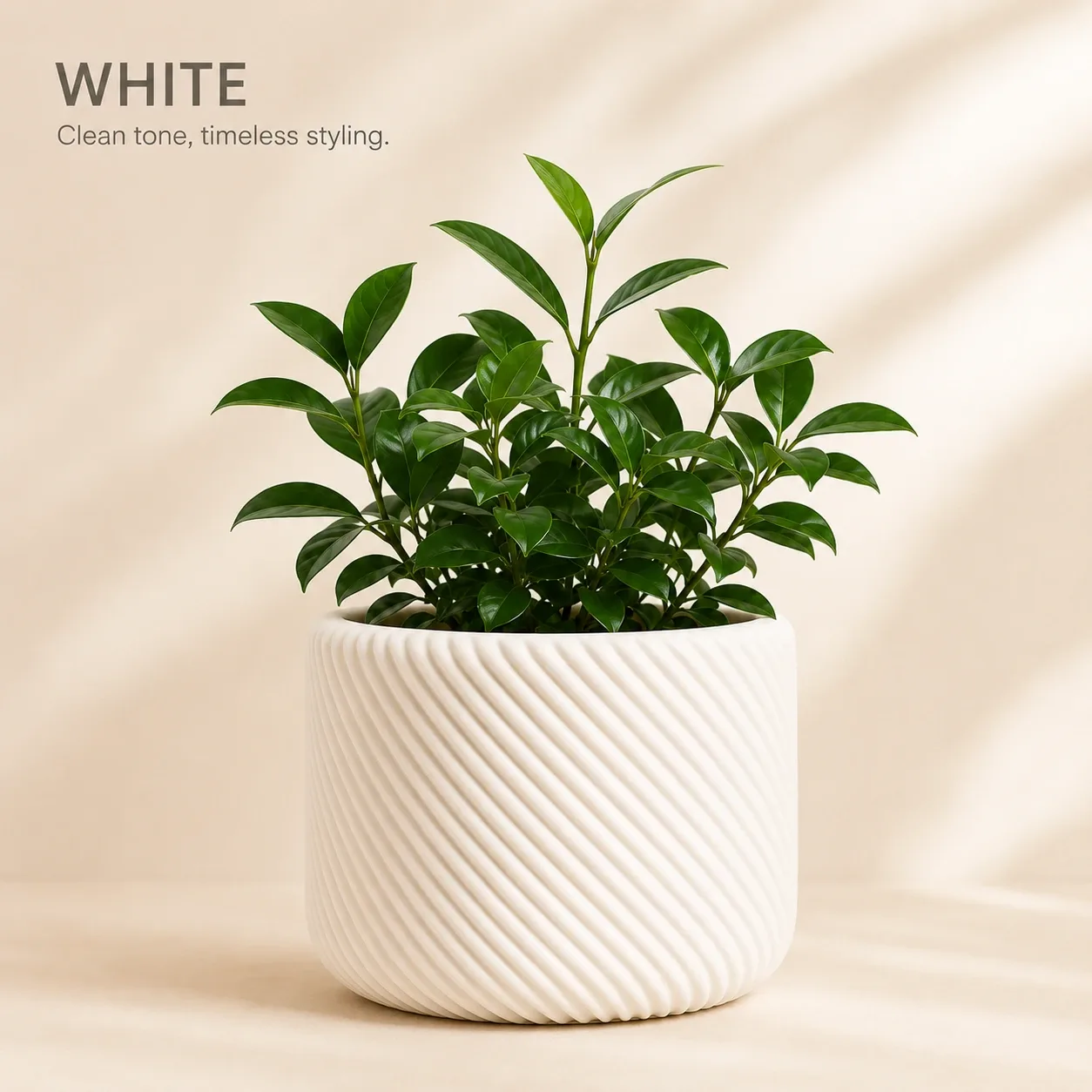 Pink Bnana Twirlroot Planter gallery view 8