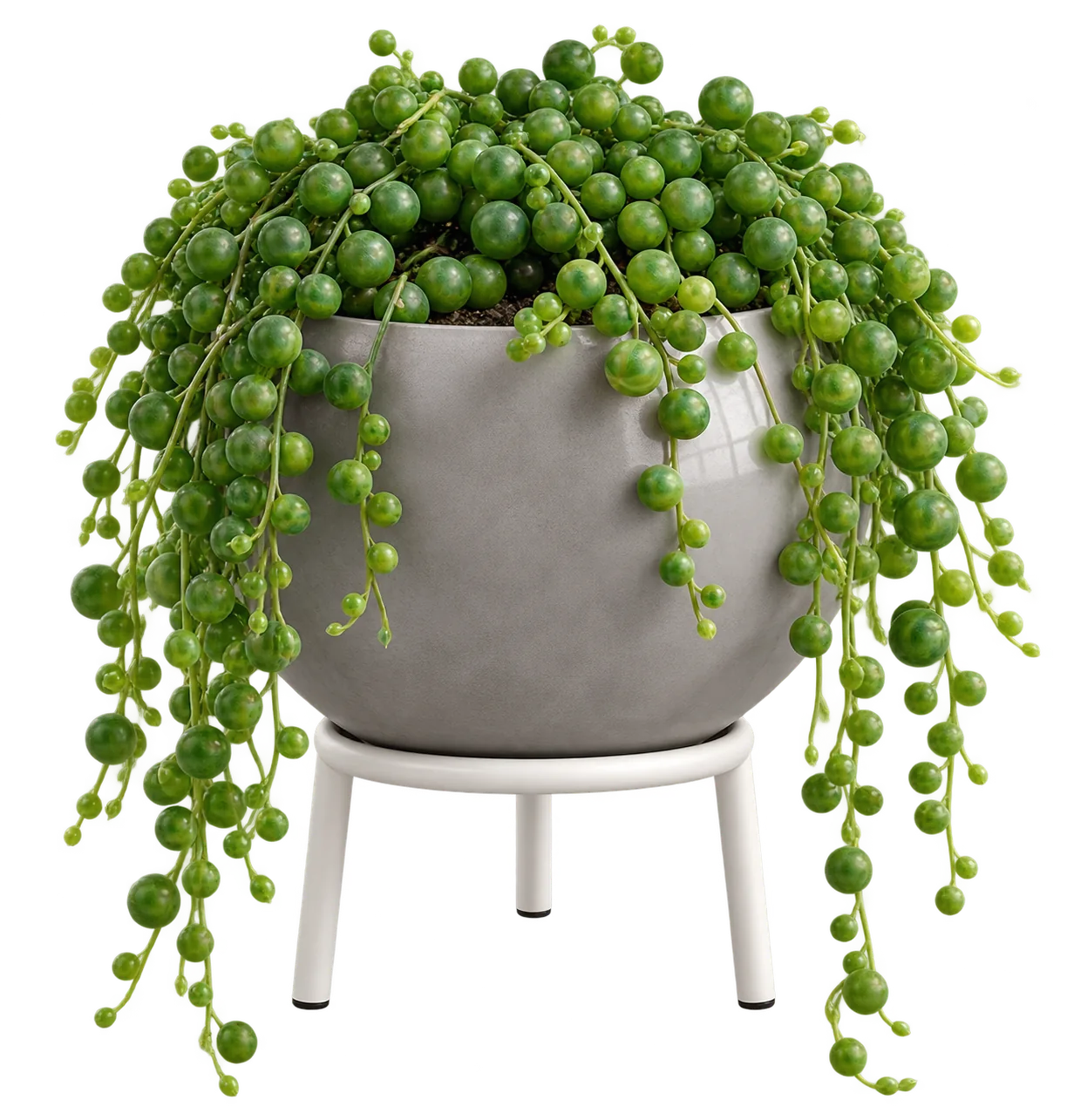 Pink Bnana planter