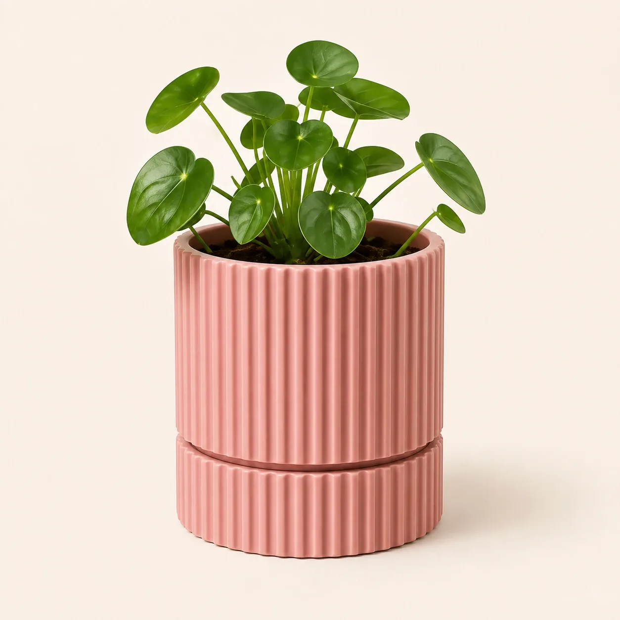 Pink Bnana Nuzzle Pot gallery view 9